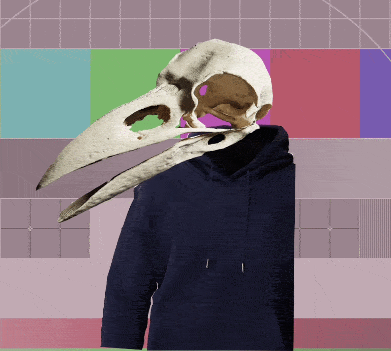 vtuber rig